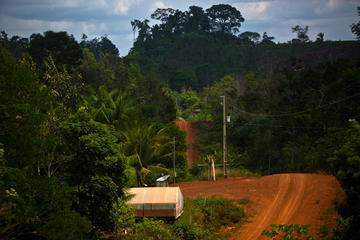 Road of Amazon in the jungle picture